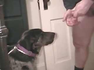 horse bestiality stories porn movies