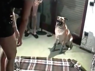 animalsex link u.s.a videos