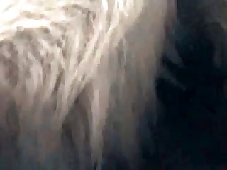 sexual fantasys humans with animals