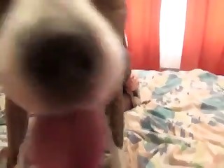 bestiality pron videos