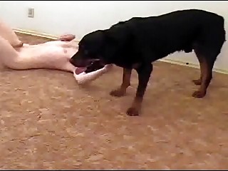 free animal sex galleries