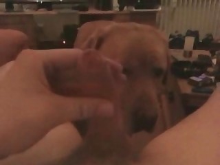 blonde women fuckingwith dog porn movies