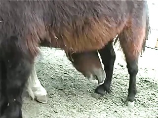 This beast looks absolutely hot and sweet