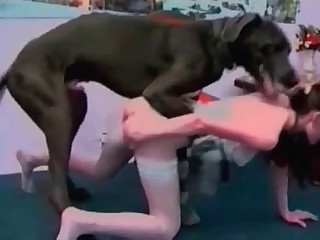 Watch how a horny zoophile fucks with a doggy