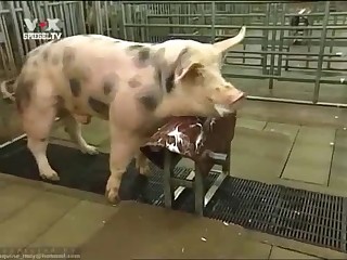 This filthy farmer is showing off his squeezing techniques