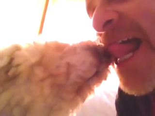 Guy thinks it's hot to make out with his mutt