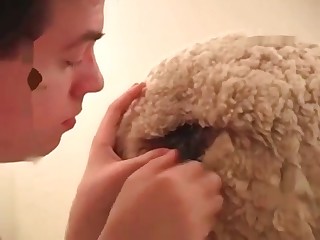 alt binaries pictures erotica bestiality videos