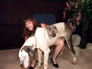 freeanimalsex.xxxlogs.nl movies