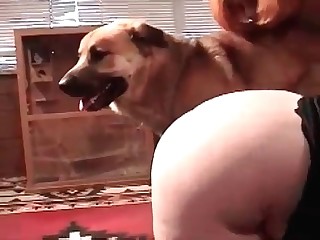 free beastiality sex video porn videos