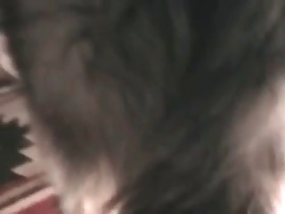 men mating with animals sex