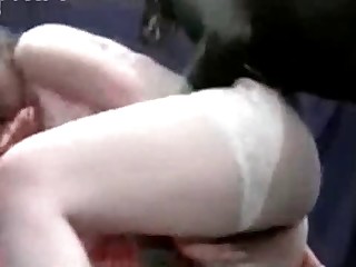 animal porn movie samples