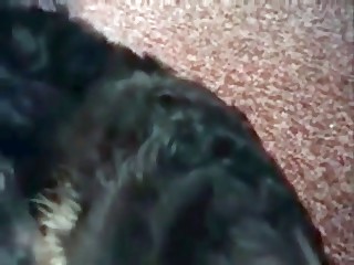 beastie boy girl videos