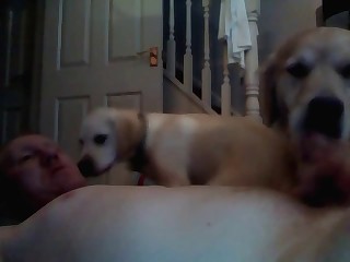 unisex animals porn videos