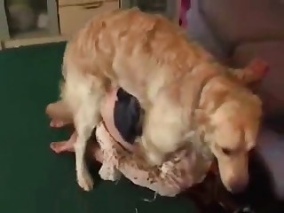 beastly fuck porn videos