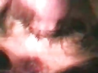 free sex games animal porn videos