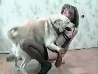 gay+bestiality free porn