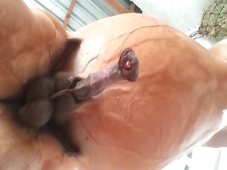 blonde wife fuckings her dog