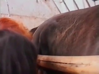 schoolgirl bestiality movies