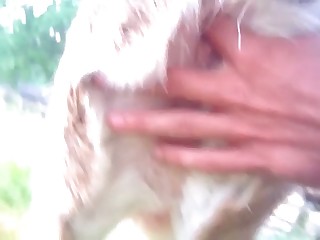 brunette blow large horse dick for cum porn movies