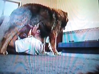 girls having sex with animals free video videos