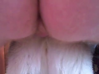 funny sexy animal video movies