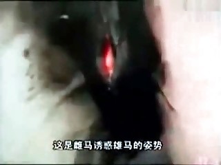 mad-38 the beast fuck 23 free porn