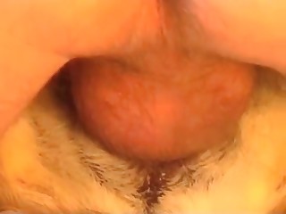 animal sex free thumbs porn movies