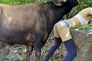Sex With Aanimals Porn Videos